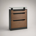 3-Compartment Walnut and Black Shoe Cabinet with Clear Tempered Glass Shelf, 31.5 x 11.8 x 42.1 in